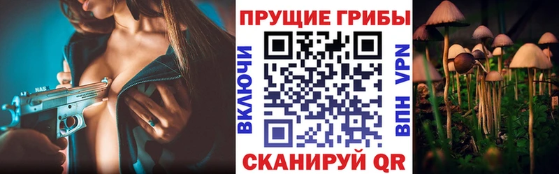 OMG ссылки  Няндома  Галлюциногенные грибы мухоморы 
